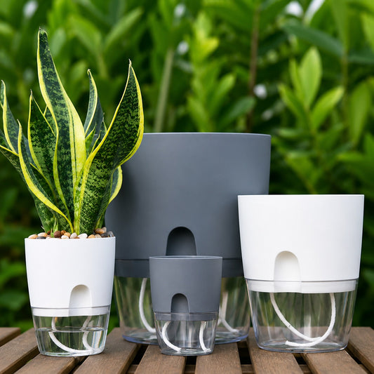 Self-Watering Planter Pot